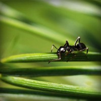 /album/apevpohard/photolia-a05-jpg/