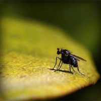 /album/apevpohard/photolia-a07-jpg/